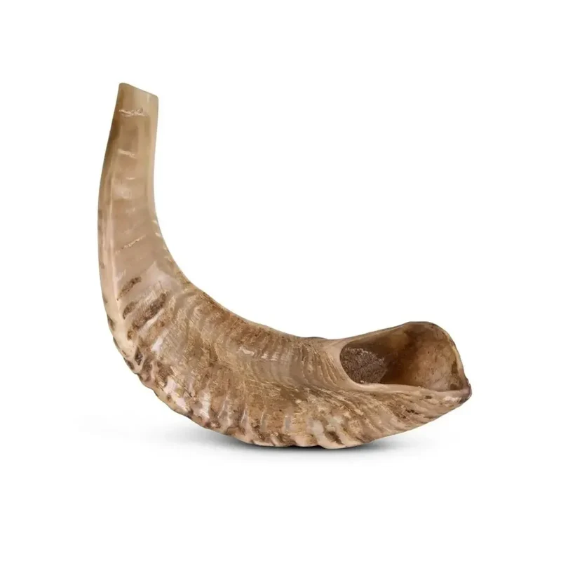 Corne de Mouton pour Chien Cernunos