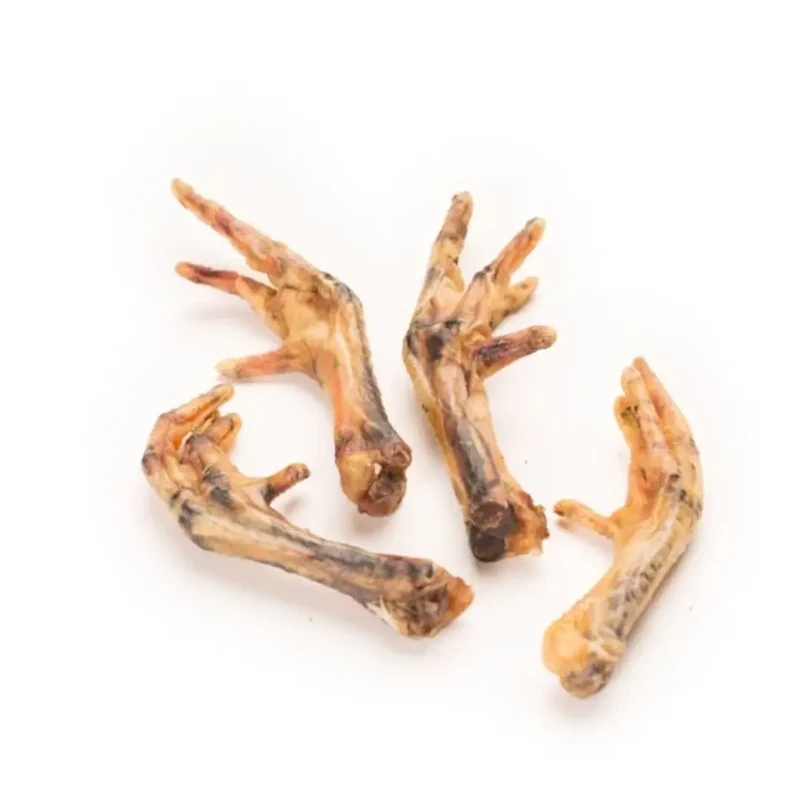 Pattes de Poulet pour Chien Cernunos