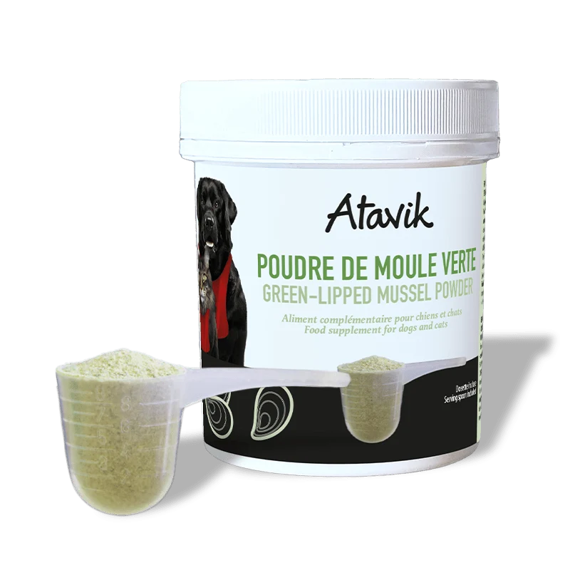 Poudre de Moule Verte – Mobilité & Vitalité naturelle