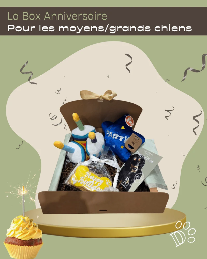 Box anniversaire grand chien – fête gourmande & jeux