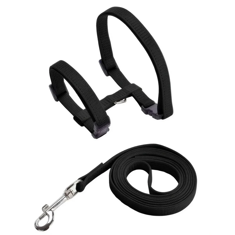 Collier anti-fuite pour chaton