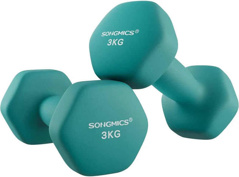 Lot de 2 haltères hexagonaux pour fitness salle de sport 20 x 9 cm en fer vert foncé 12_0010429