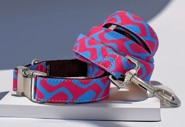 Collier pour chien Ceret