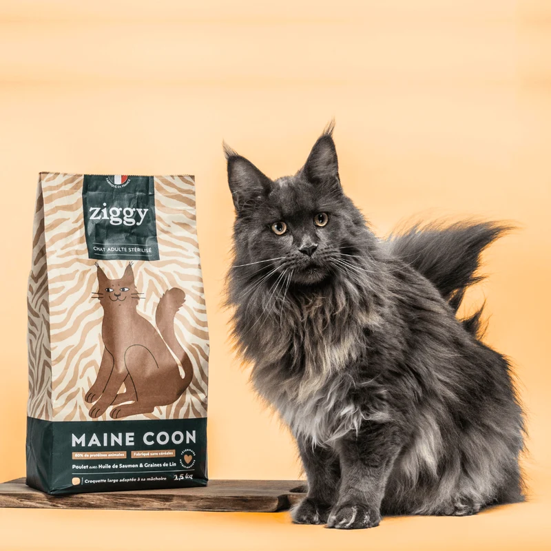Croquettes pour Maine Coon et grandes races Ziggy