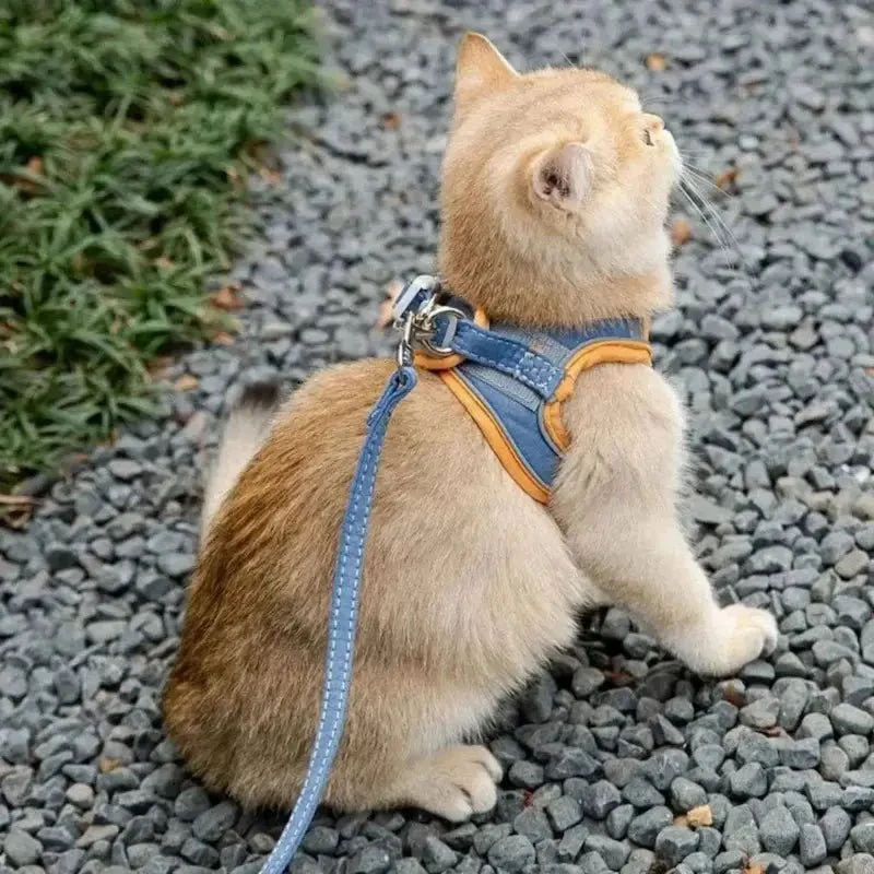 Harnais chat anti-fugue - Sécurité renforcée | FeliWay