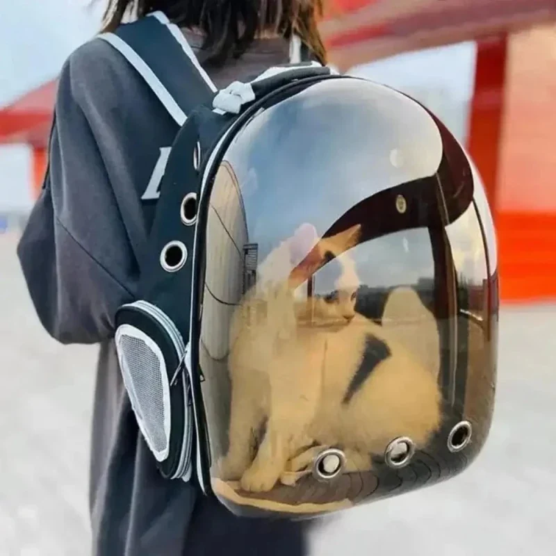Sac à dos bulle chat – vue à 180° | BubblePaw