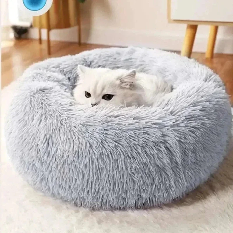Coussin apaisant chat - Confort et sécurité | CalmPaws