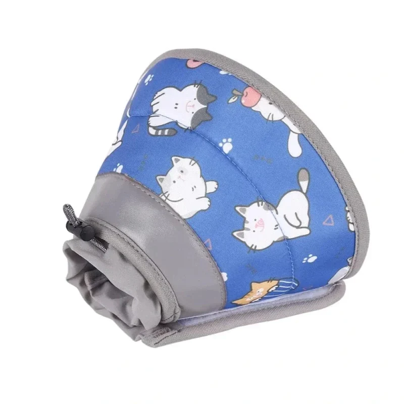 Collier récupération chat - Protection post-op | FéliCare