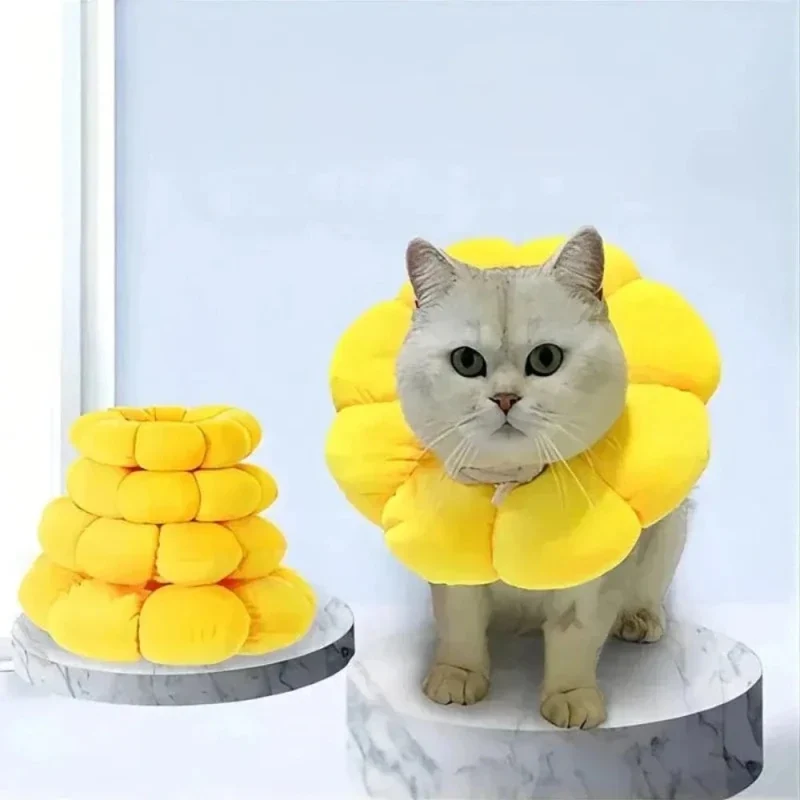 Collerette fleur chat - Confort & style | FlowerCone