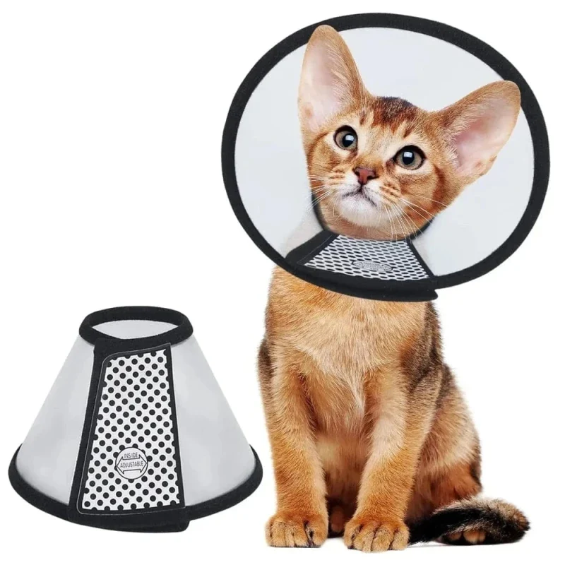 Collerette souple pour chat - Confort optimal | SoftCone