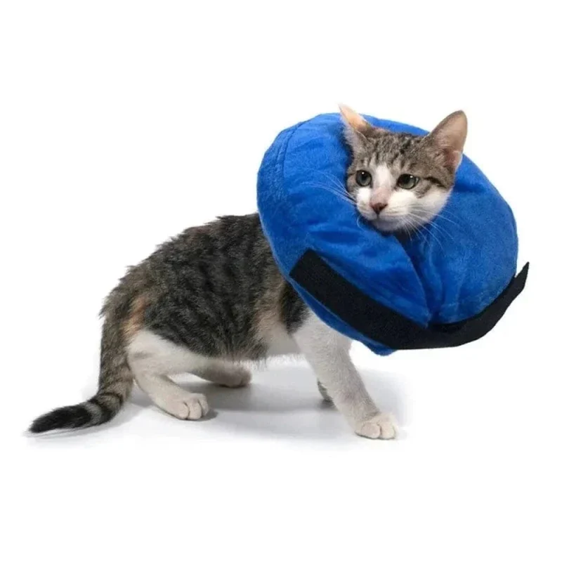 Collerette gonflable pour chat - Confort optimal | AirCone