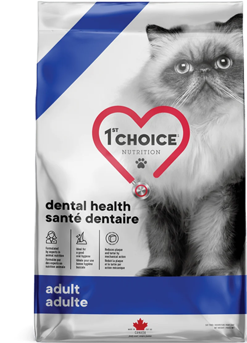 1ST Choice chat santé dentaire