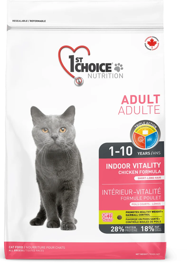 1ST Choice chat intérieur vitalité