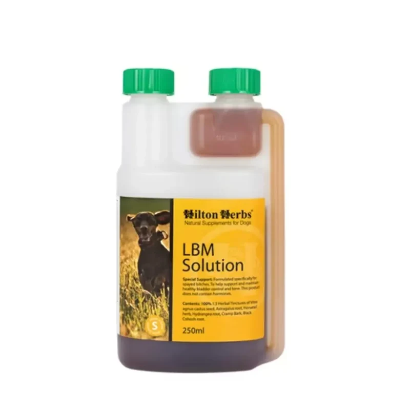LBM Solution Chien Hilton Herbs