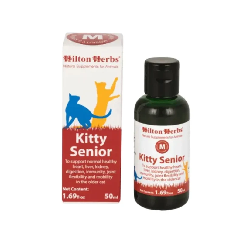 Kitty Senior Chat Hilton Herbs