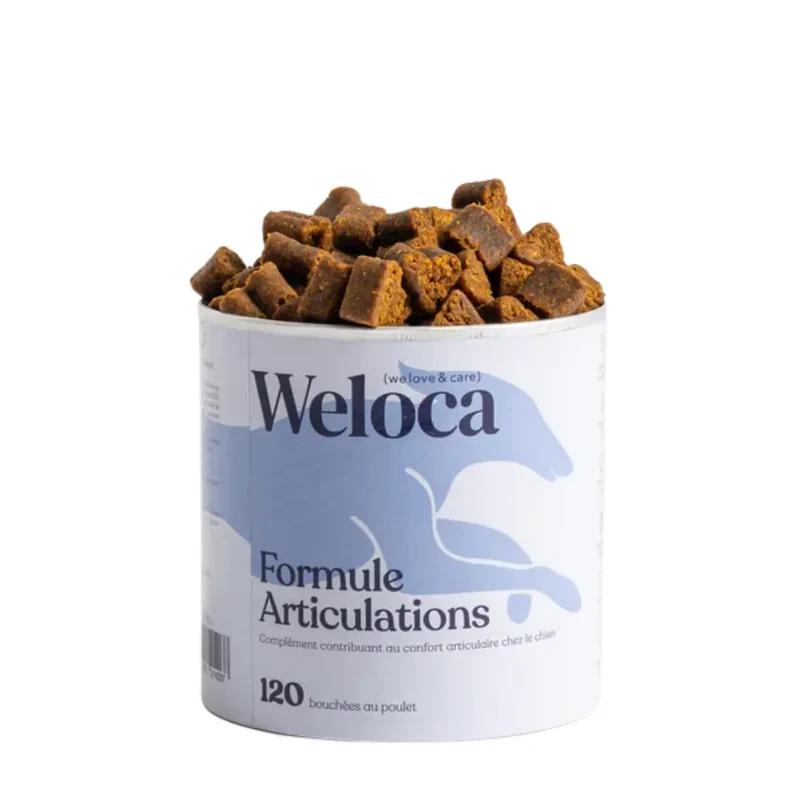 Complément Articulations - Arthrose Chien - Weloca