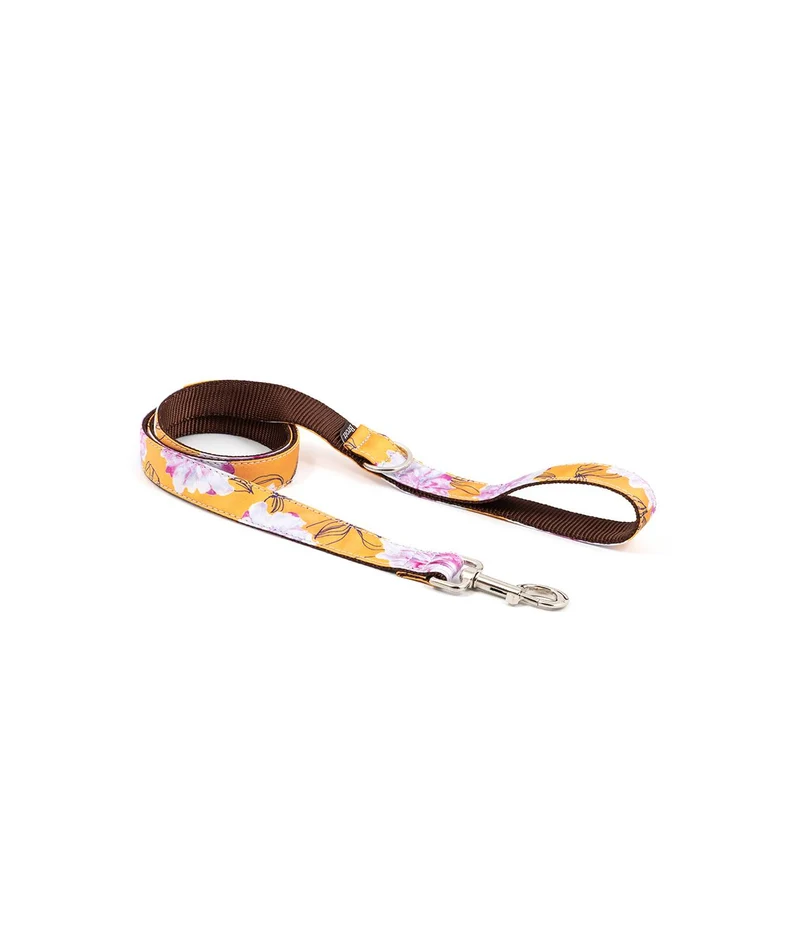 Laisse pour chien Teia