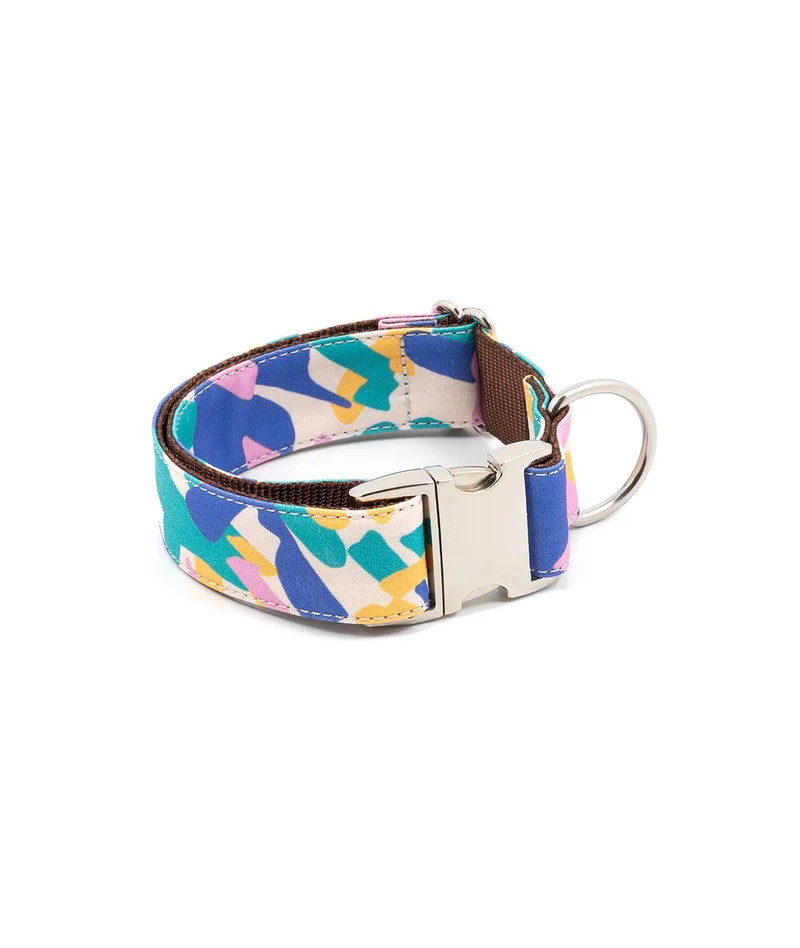 Collier pour chien Montroig