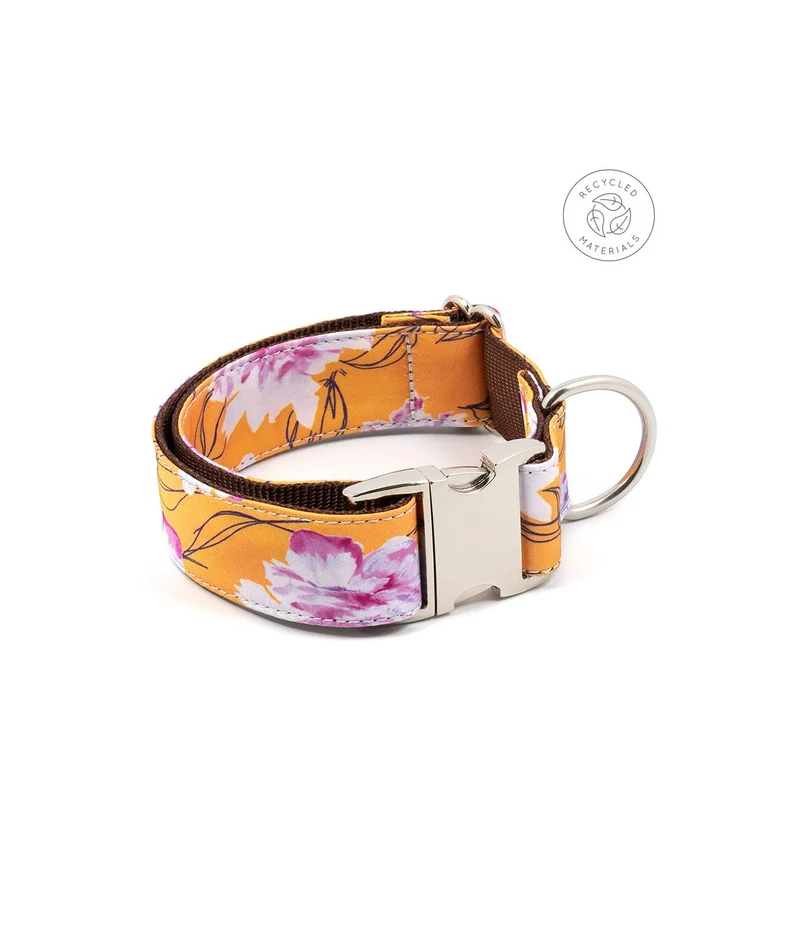Collier pour chien Teia