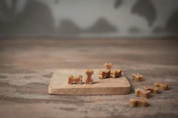 Friandises d'éducation moelleuse pour chien au saumon