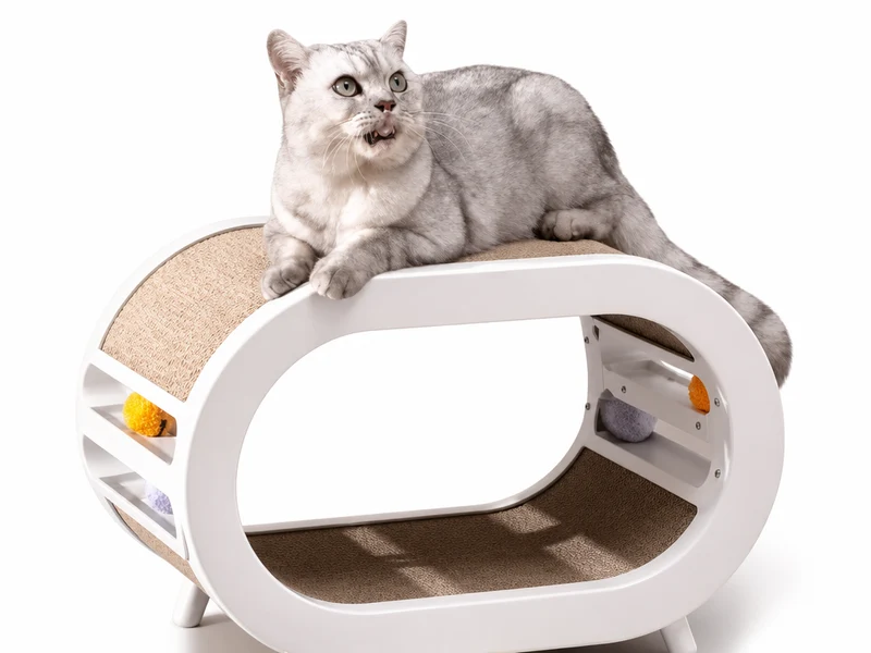 Griffoir ludique, design et spacieux pour chats