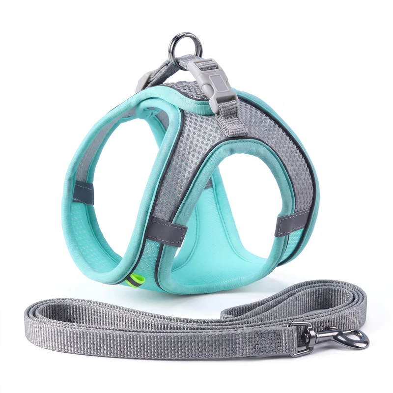 Ensemble de laisse et maille réglable pour chat