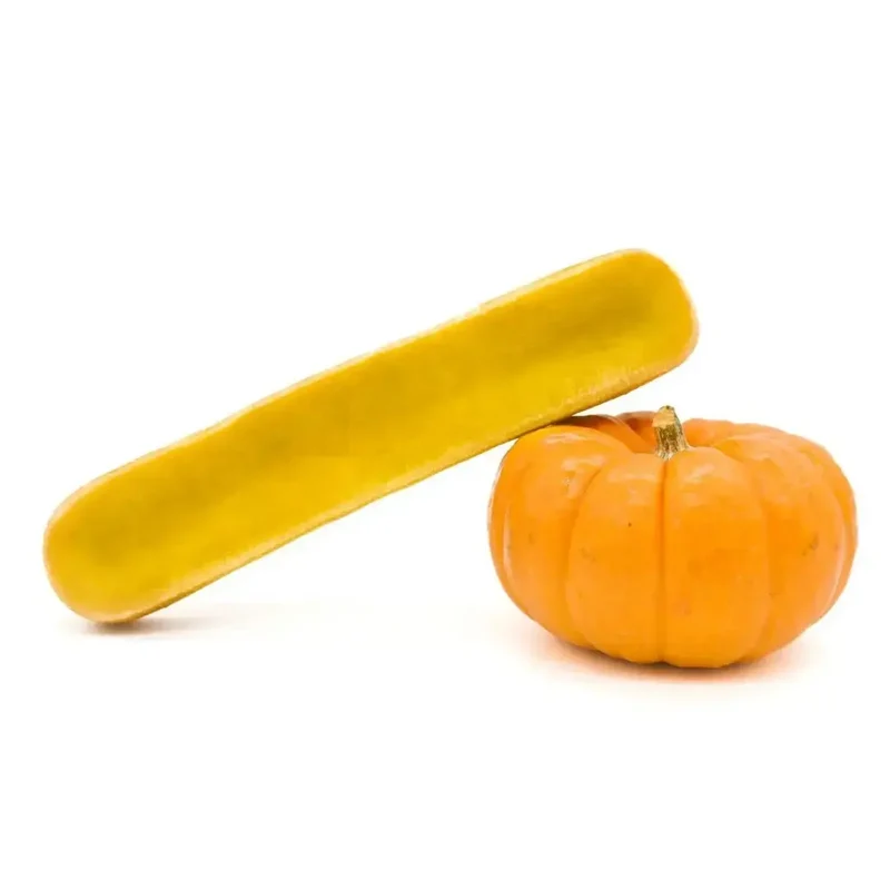 Fromage Cheezy Dog à la Citrouille pour Chien Cernunos