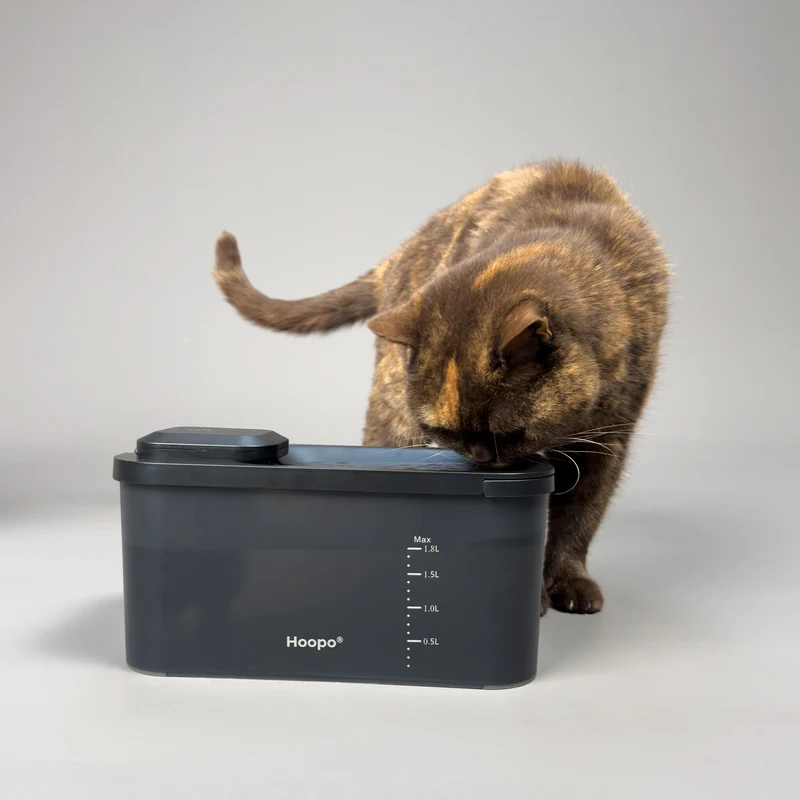 Fontaine à eau pour chat sans fil silencieuse