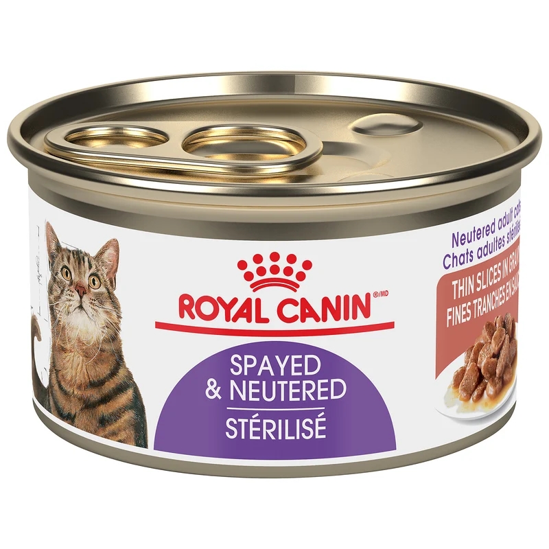 Royal Canin - Chat Stérilisé Tranche en Sauce - Nourriture Humide pour Chats