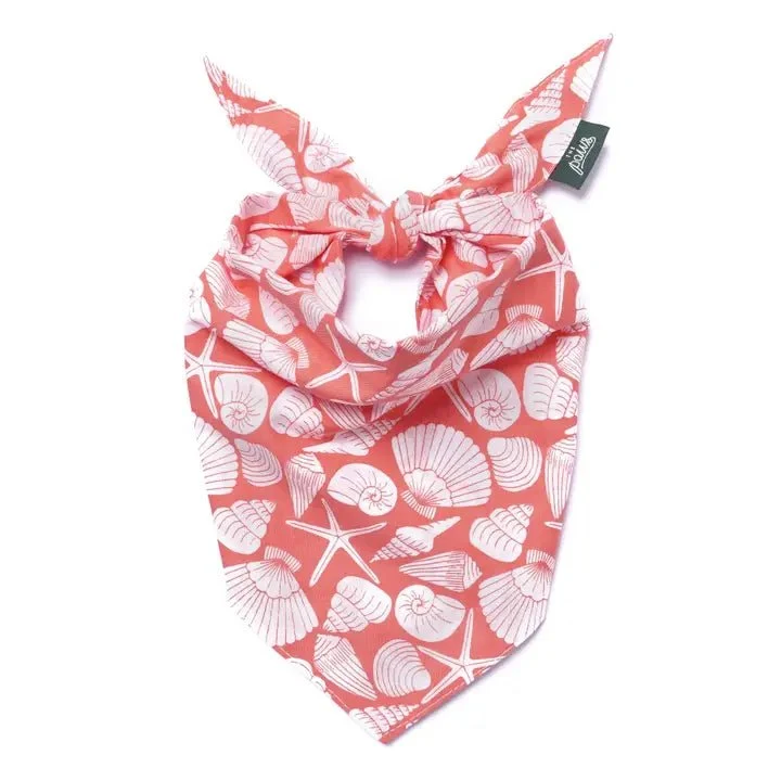 Bandana pour chien en coton – Motif Coquillages