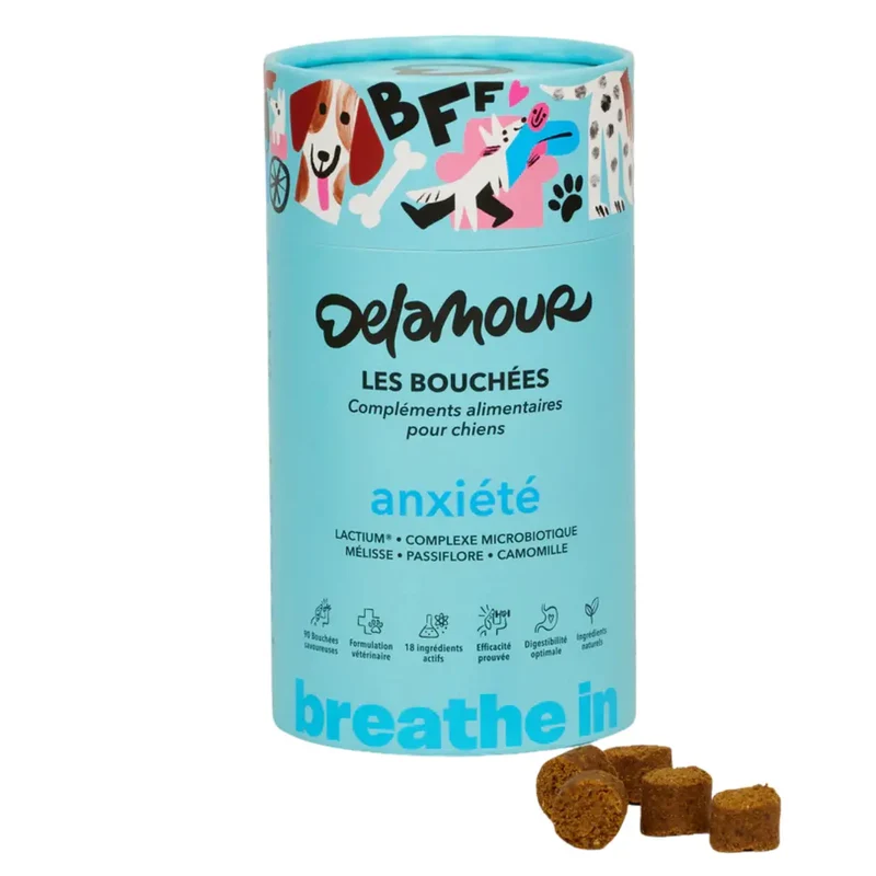 Anxiété - Les Bouchées - DELAMOUR