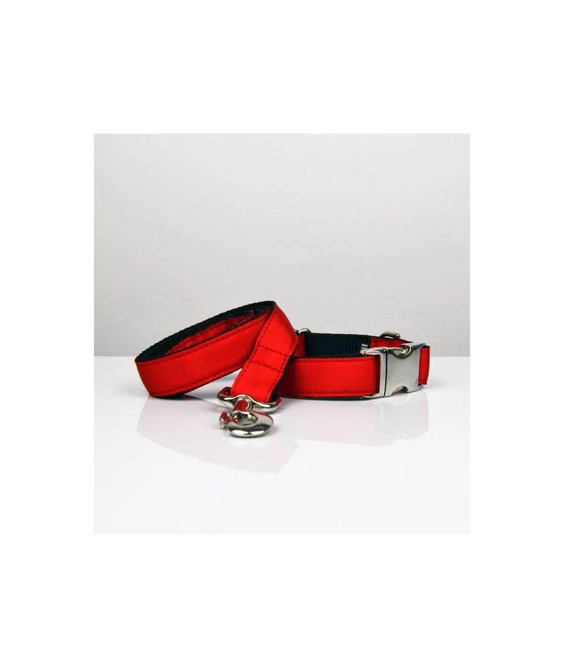 Laisse pour chien Solid Red