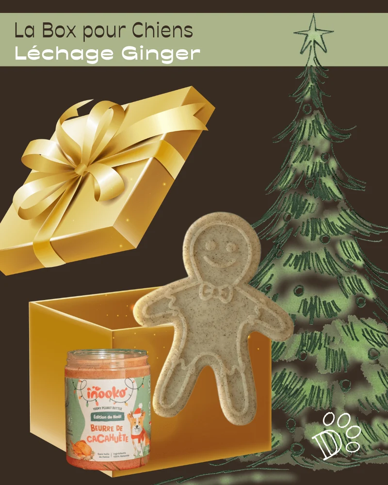 Box de Noël pour Chien – Léchage Ginger