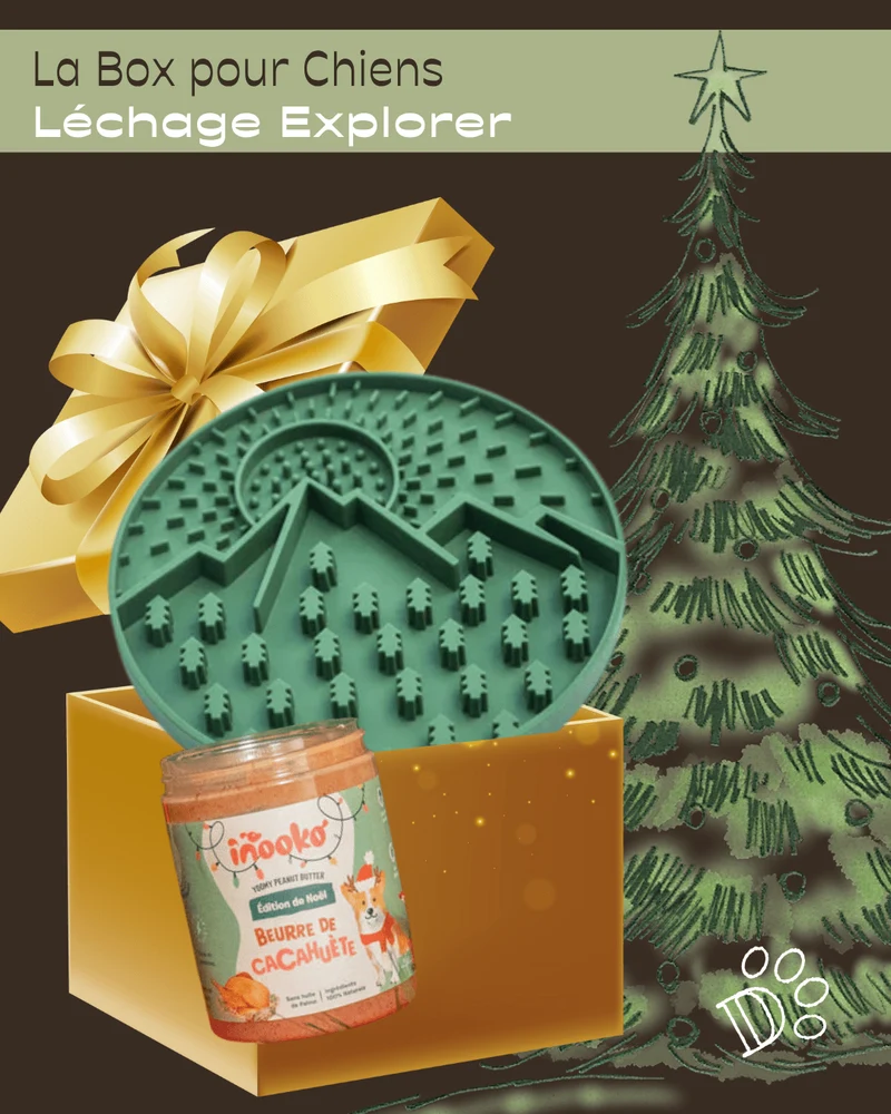 Box de Noël pour Chien – Léchage Explorer
