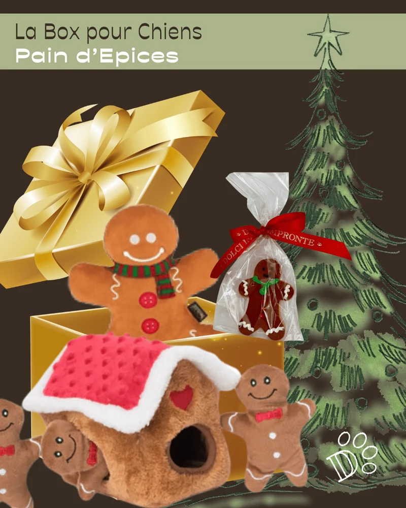 Box de Noël pour Chien – Pain d’Épices (Jeux et friandises)