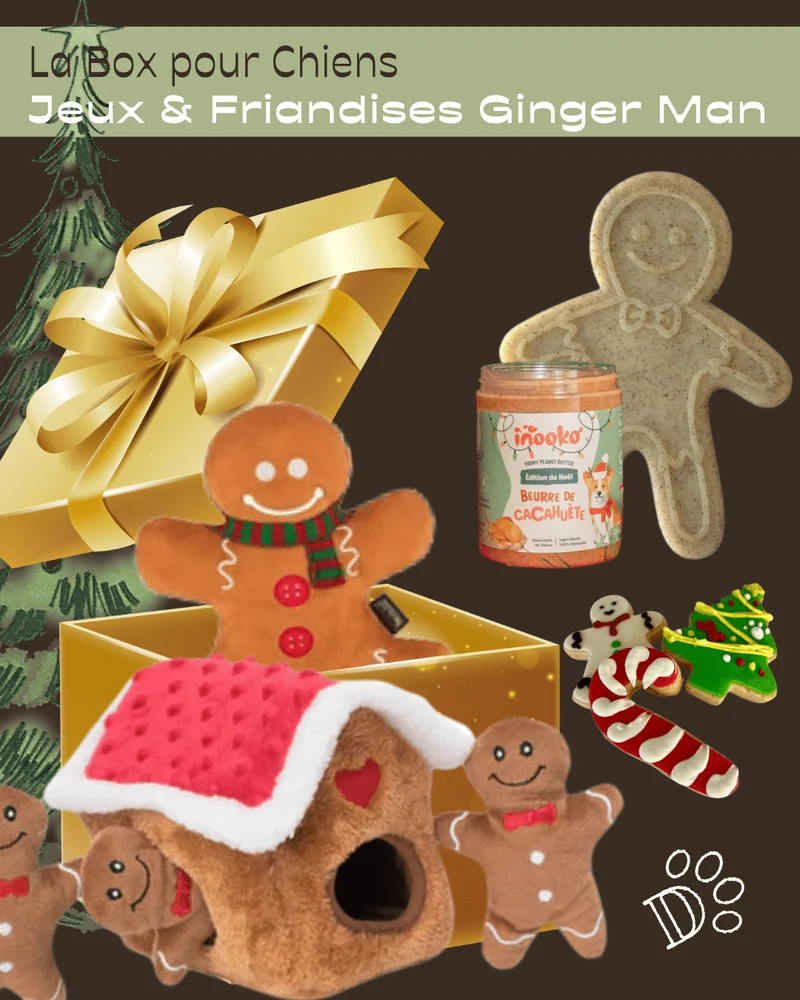 Coffret Deluxe de Noël pour Chien – Jeux & Friandises Ginger Man