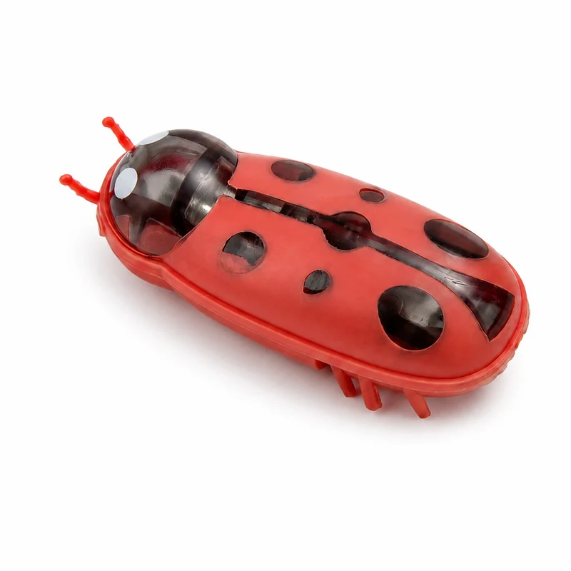 Jouet électrique interactif insecte pour chats