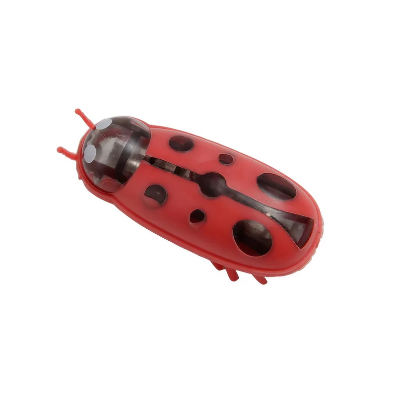 Jouet électrique interactif insecte pour chats