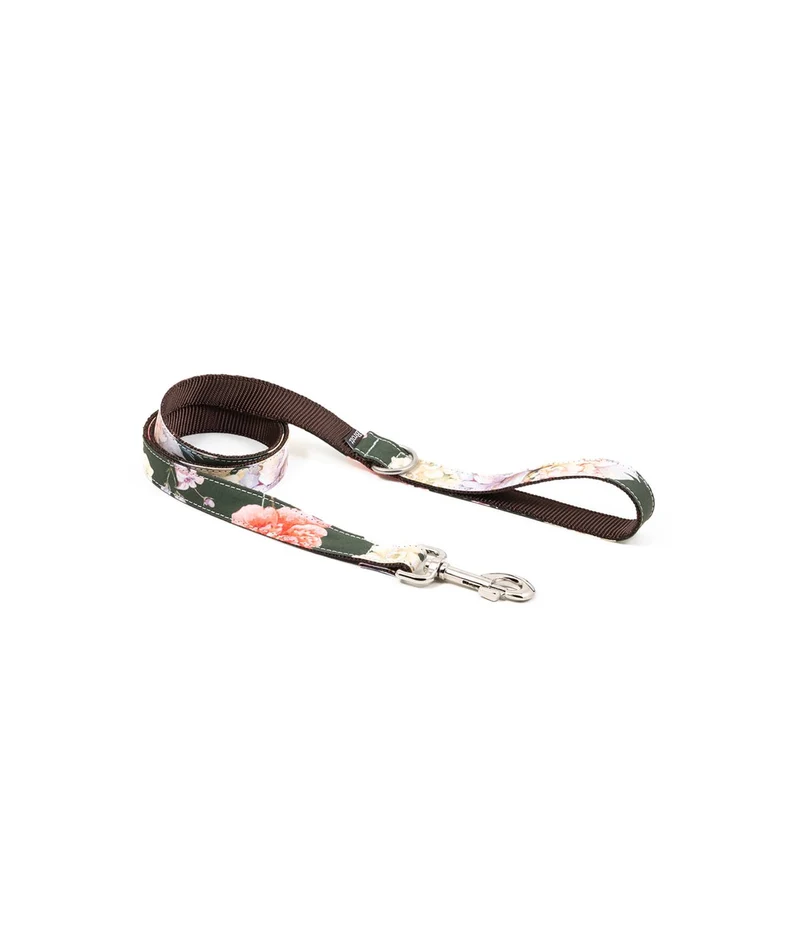 Laisse pour chien Espelt