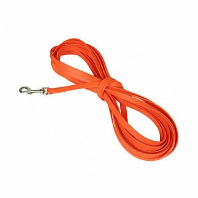 Longe pour chien en biothane (5 et 10m)