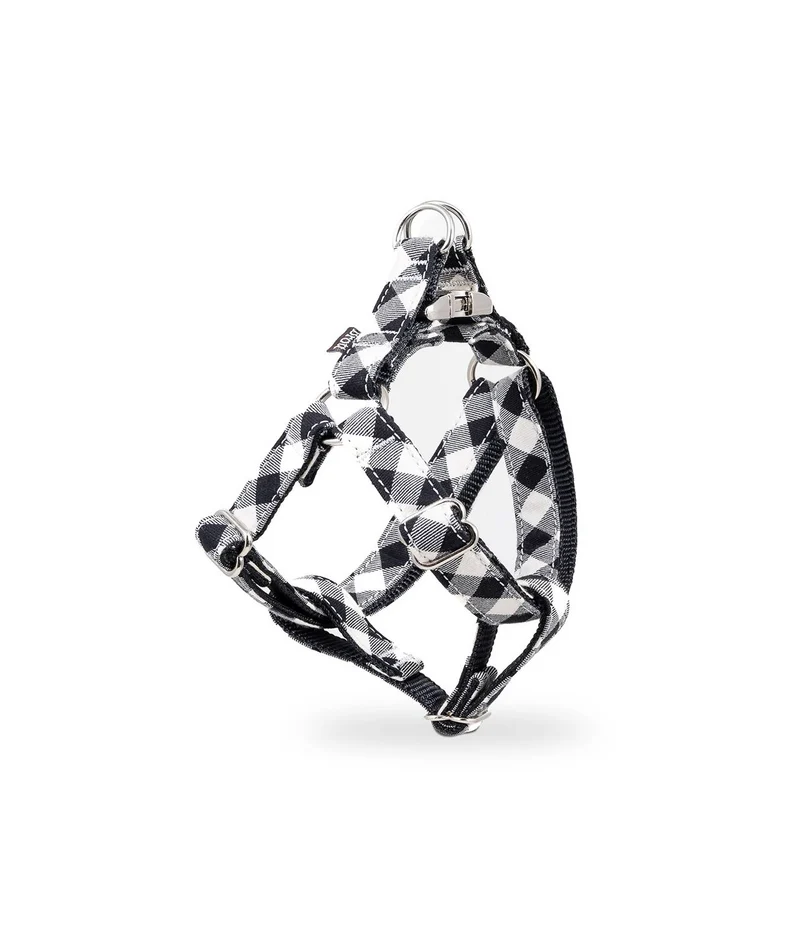 Harnais parachute pour chien Cadi