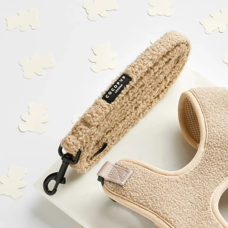 Laisse chien Teddy Rupert – douce, légère & assortie