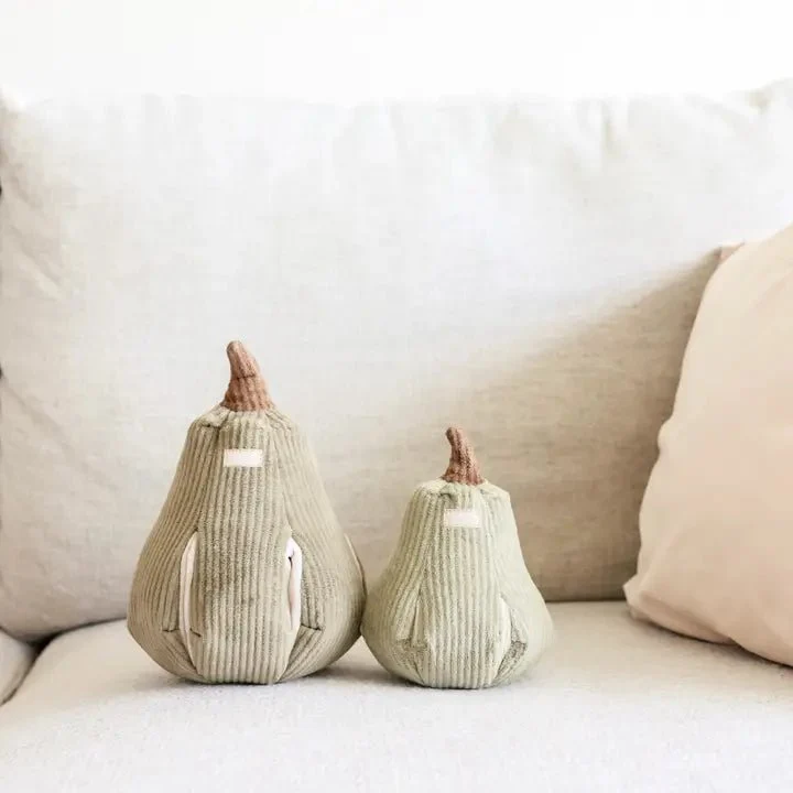 🎃 Jouet de fouille BUTTERNUT – Courge interactive pour chiens joueurs