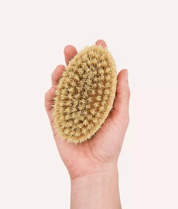Brosse pour chien à poils courts en bois de hêtre