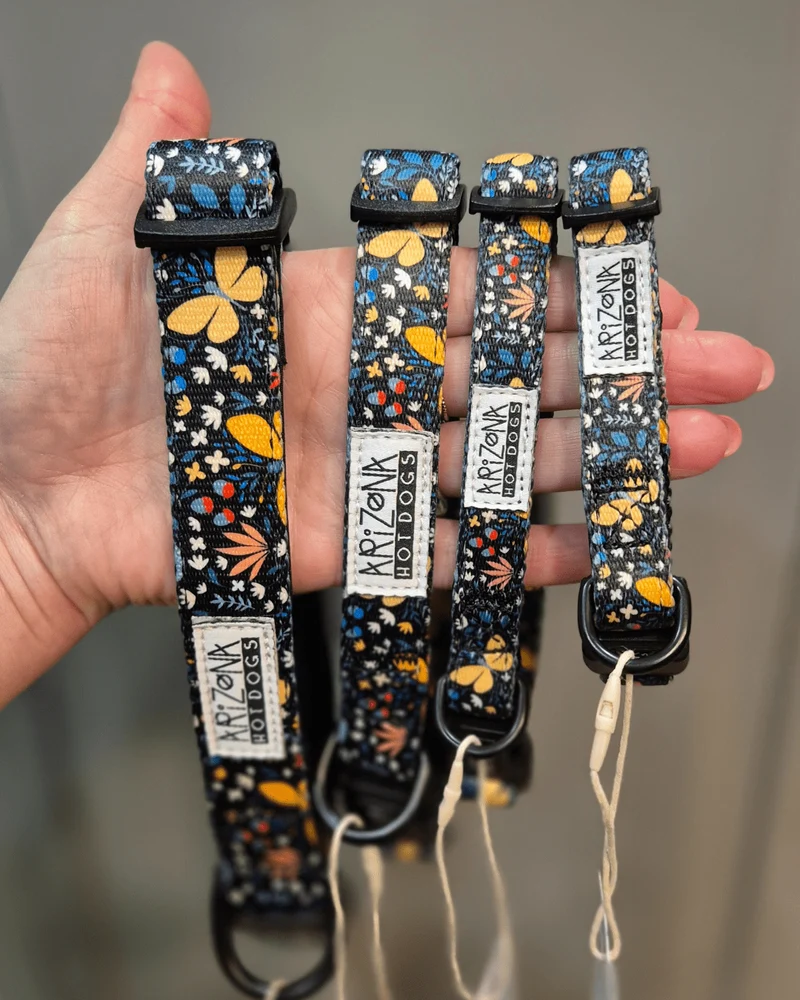 Collier en nylon à motifs pour chien - Butterfly
