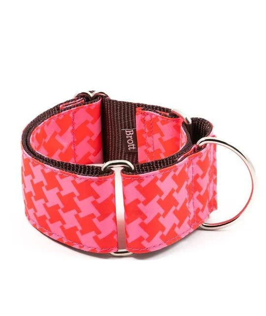 Collier Martingale Miralles pour lévriers