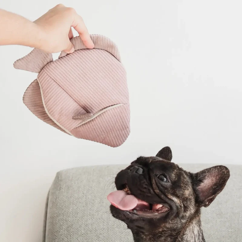Jouet en peluche de fouille pour chien – Poisson Angel Fish 🐟