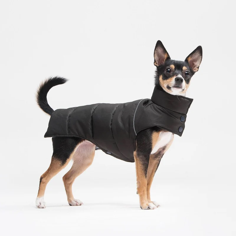 Manteau pour petit chien
