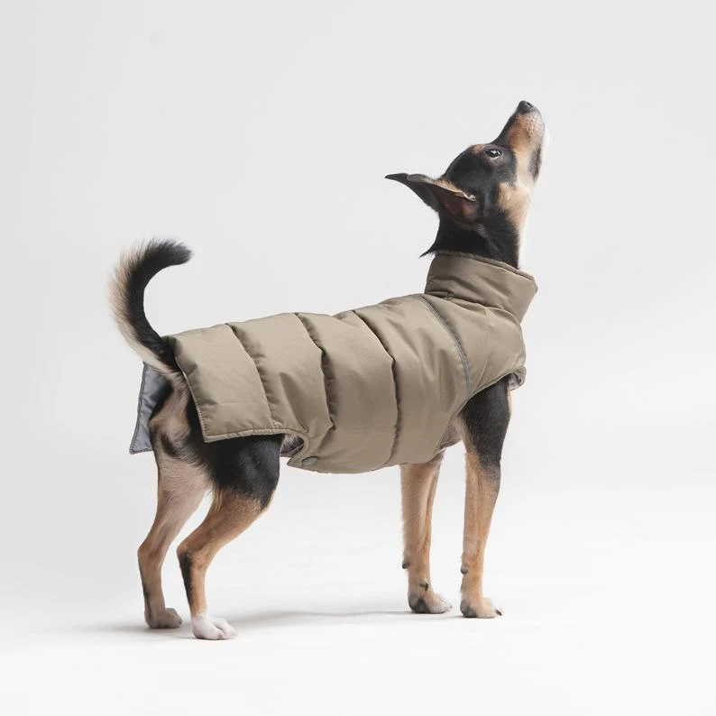 Manteau pour petit chien