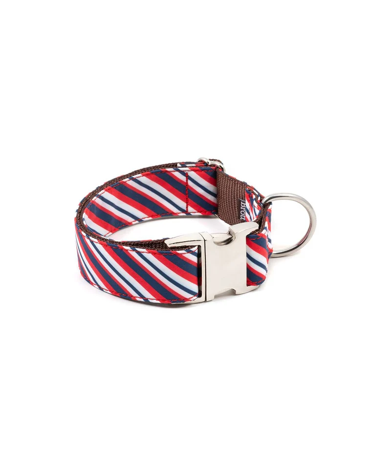 Collier pour chien Calella